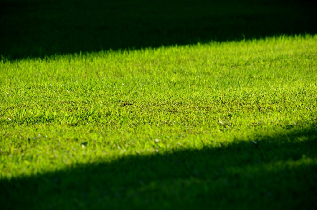 Turf Cleaning Solutions Being Applied
