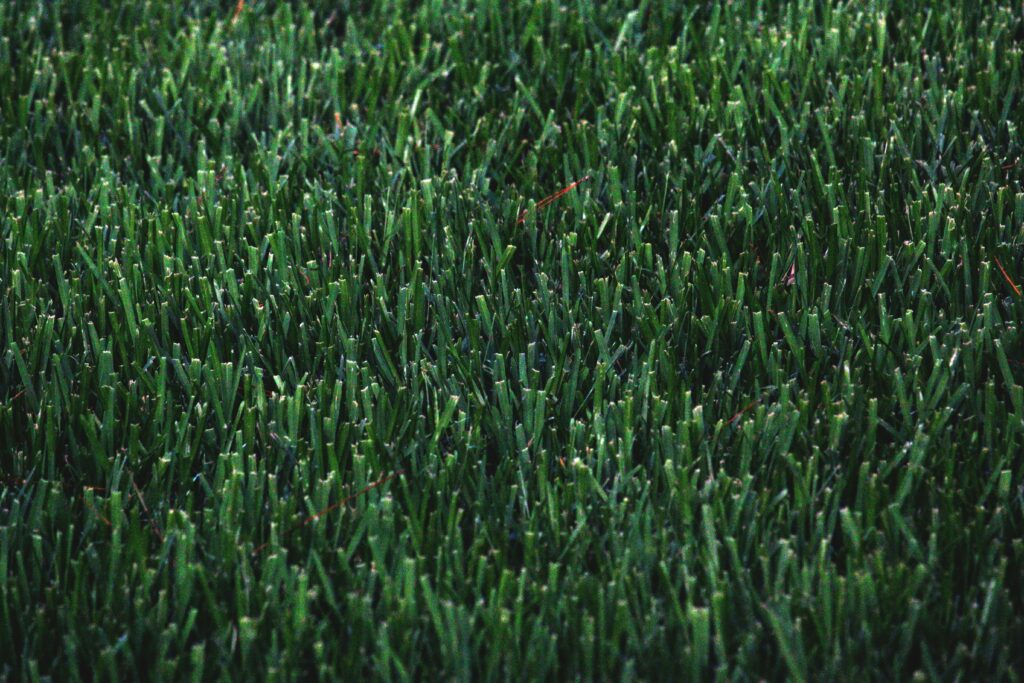 Deep Turf Cleaning in Action
